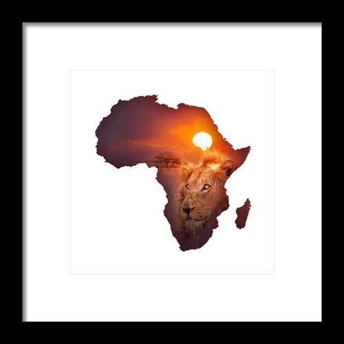 African Wildlife Map Framed Print