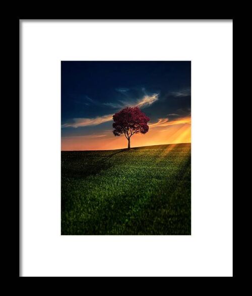 Awesome Solitude Framed Print