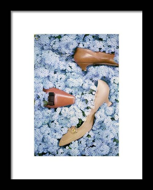Brown Shoes in Bed of Blue Flowers Framed Print
