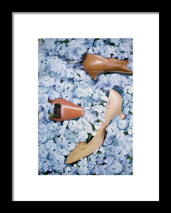 Brown Shoes in Bed of Blue Flowers Framed Print