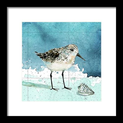 Coastal Sandpiper 1 #1 Framed Print