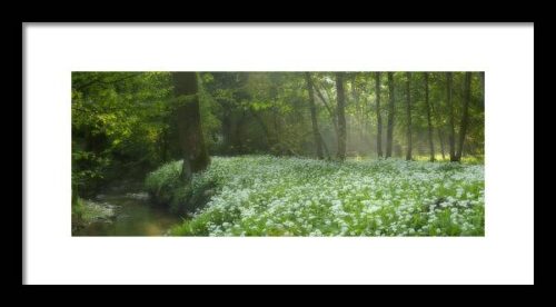 fields of Legend Framed Print