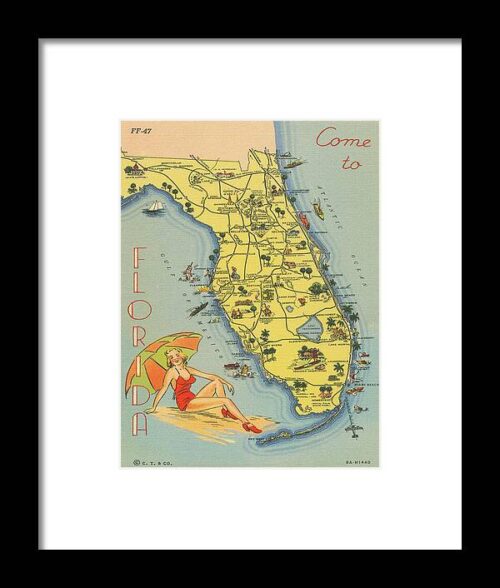 Florida Postcard Vi Framed Print