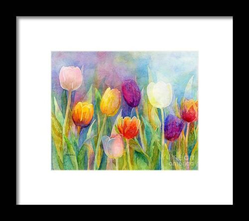 Fresh Tulips Framed Print