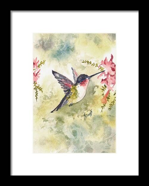 Hummingbird #1 Framed Print