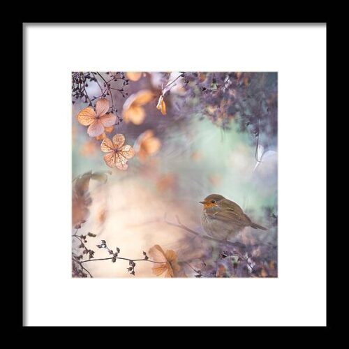 Hydrangea Fantasy Framed Print