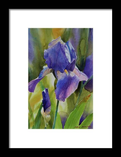 Iris I Framed Print