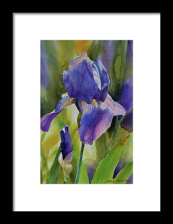 Iris I Framed Print