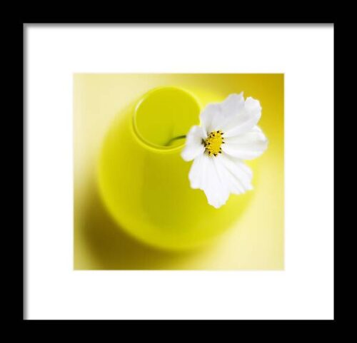 Little Yellow Vase Framed Print