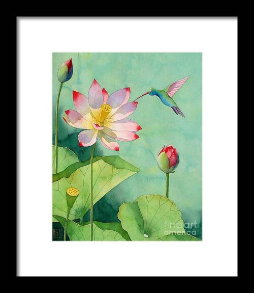 Lotus And Hummingbird Framed Print
