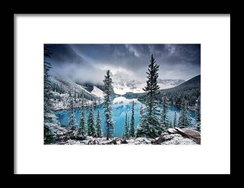 Morning Blues Framed Print
