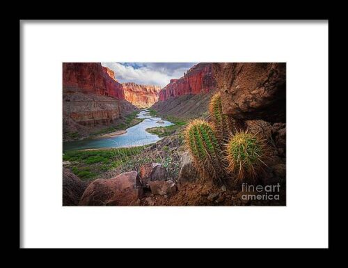 Nankoweap Cactus Framed Print