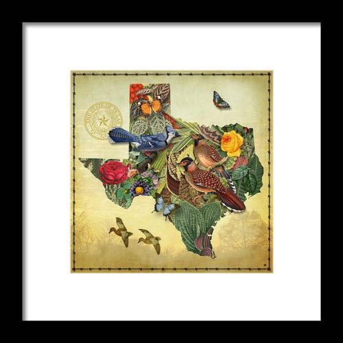 Nature Map of Texas Framed Print