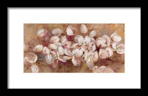 Opening Tulips Framed Print
