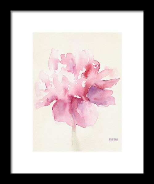 Pink Peony Watercolor Paintings of Flowers Framed Print