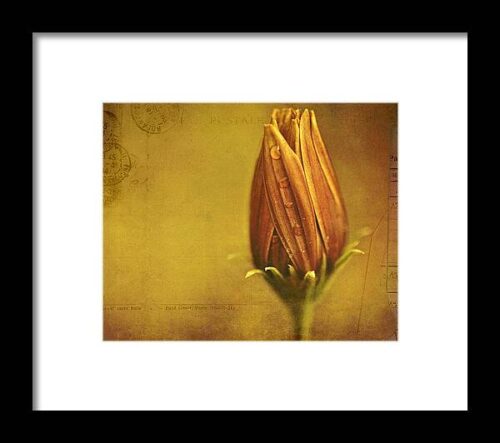 Recollection Framed Print