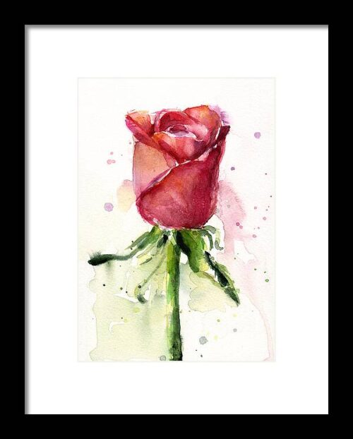 Rose Watercolor Framed Print