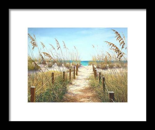 Sea Oat Path Framed Print