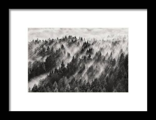 Sundance No.1 Framed Print