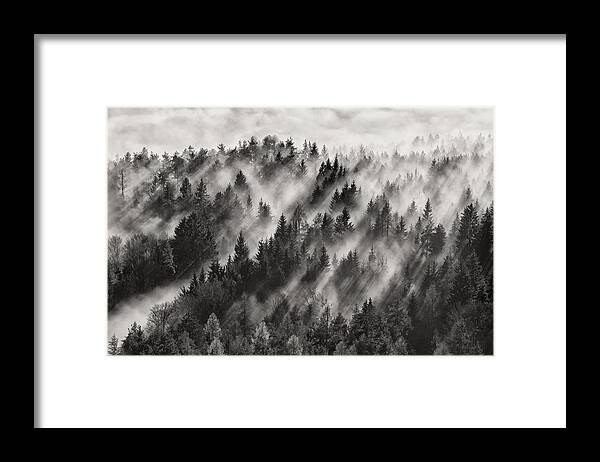 Sundance No.1 Framed Print