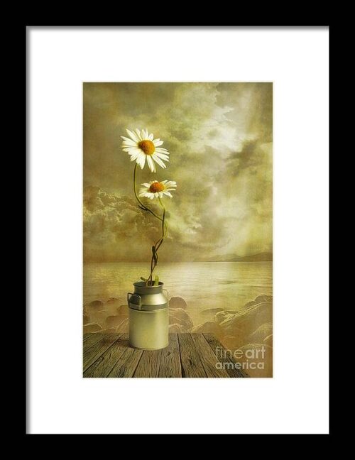 Together Framed Print