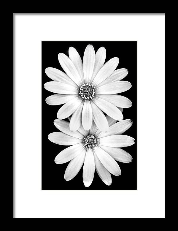 Two Flowers Framed Print