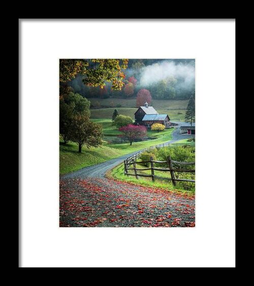 Untitled #2 Framed Print