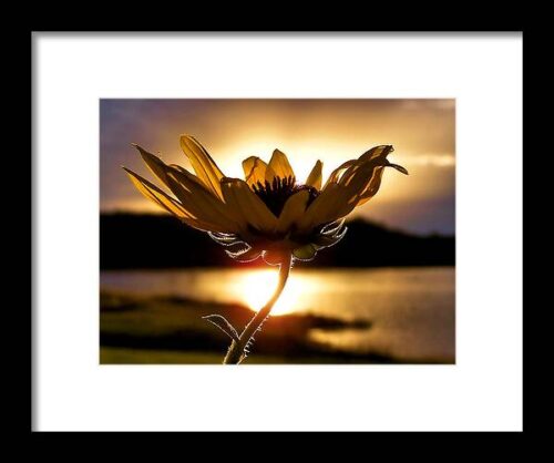 Uplifting Framed Print