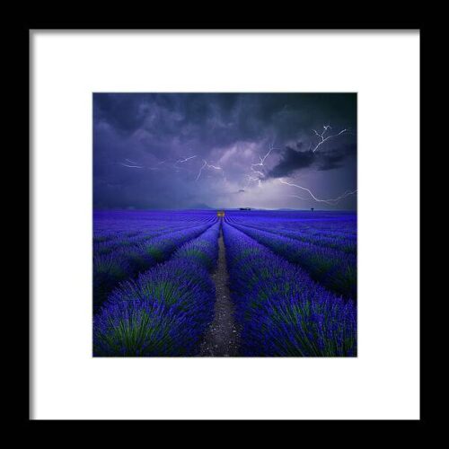 Wetter Im Lavendelfeld Framed Print