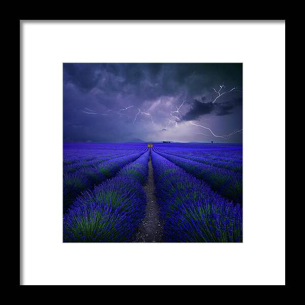 Wetter Im Lavendelfeld Framed Print Wetter Im Lavendelfeld Framed Print