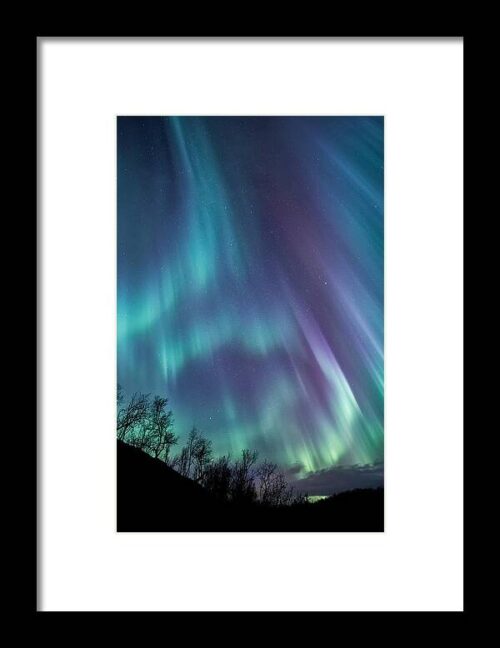 Worth the wait Framed Print